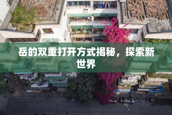 岳的双重打开方式揭秘，探索新世界
