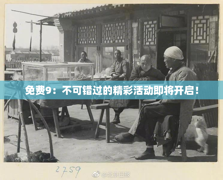 免费9：不可错过的精彩活动即将开启！