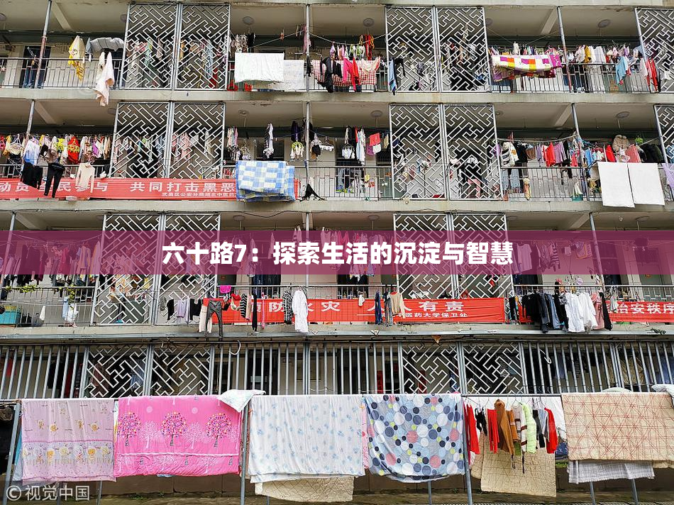 六十路7：探索生活的沉淀与智慧