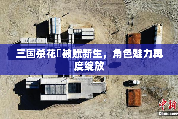 三国杀花鬘被赋新生，角色魅力再度绽放