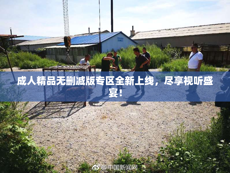 成人精品无删减版专区全新上线，尽享视听盛宴！