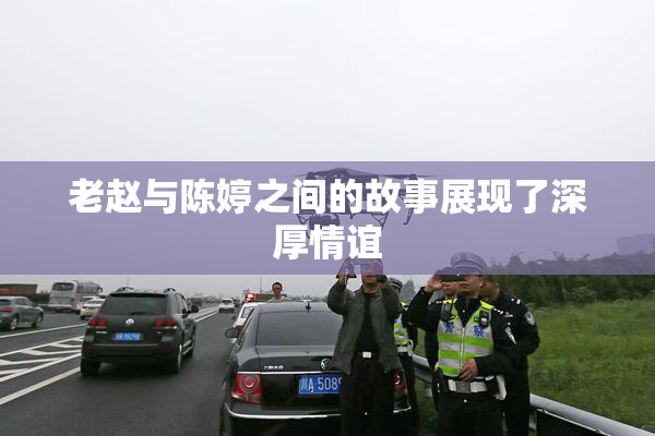 老赵与陈婷之间的故事展现了深厚情谊