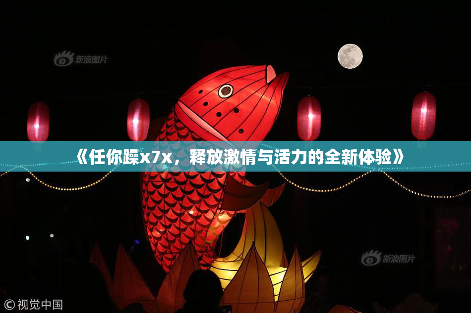 《任你躁x7x，释放激情与活力的全新体验》