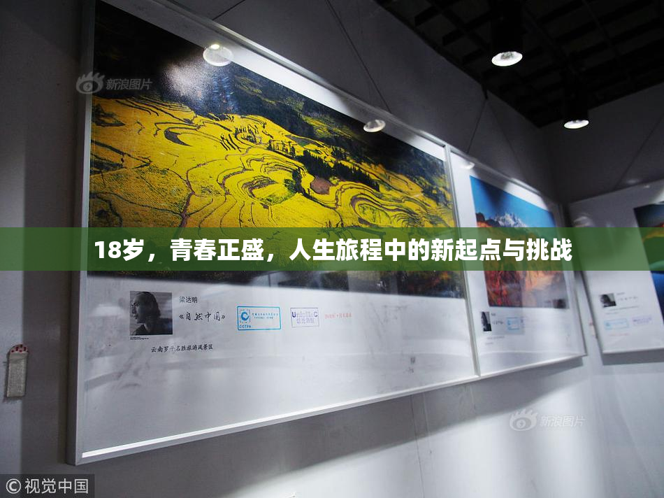 18岁，青春正盛，人生旅程中的新起点与挑战