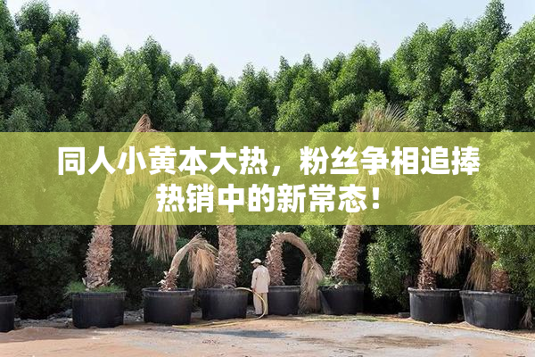 同人小黄本大热，粉丝争相追捧热销中的新常态！