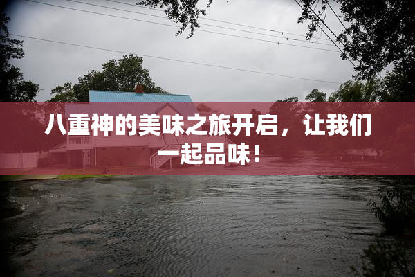八重神的美味之旅开启，让我们一起品味！