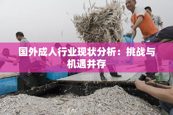 国外成人行业现状分析：挑战与机遇并存