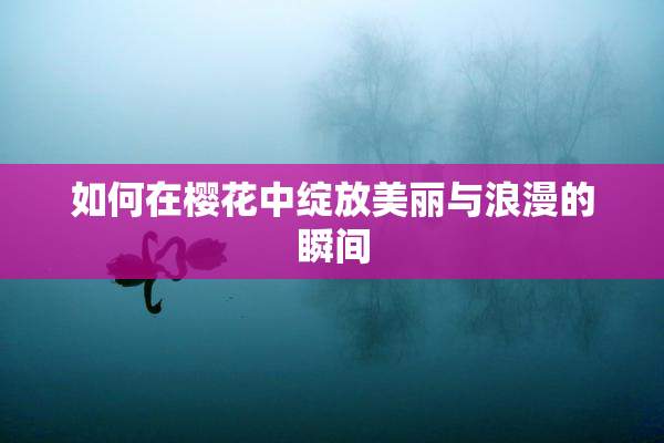 如何在樱花中绽放美丽与浪漫的瞬间