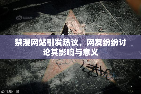 禁漫网站引发热议，网友纷纷讨论其影响与意义