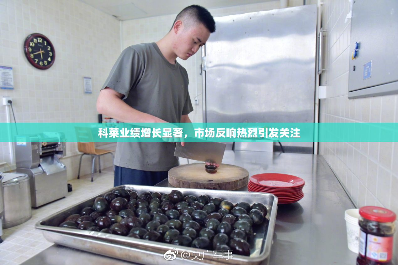 科莱业绩增长显著，市场反响热烈引发关注