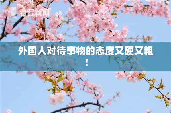 外国人对待事物的态度又硬又粗！