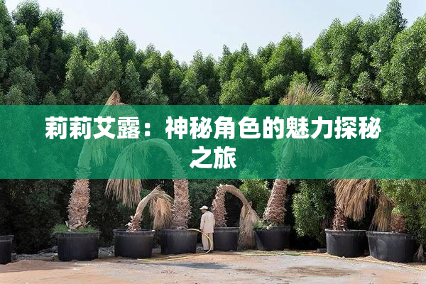 莉莉艾露：神秘角色的魅力探秘之旅