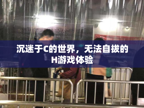 沉迷于C的世界，无法自拔的H游戏体验