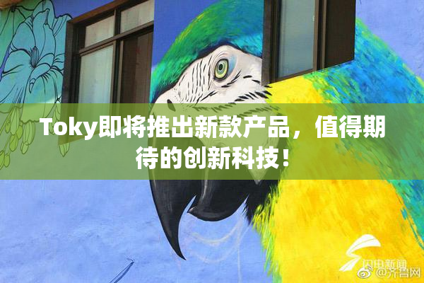 Toky即将推出新款产品，值得期待的创新科技！