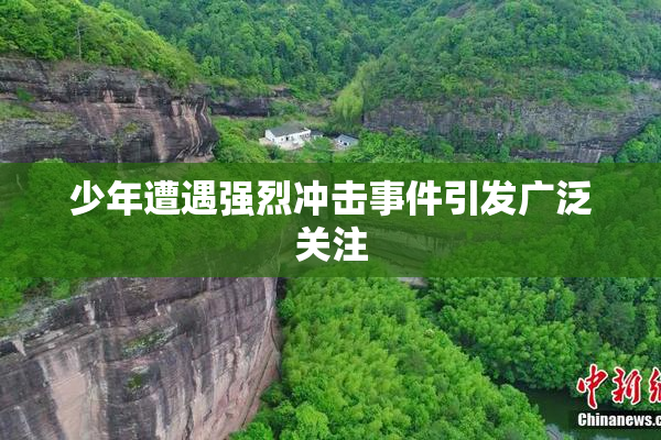 少年遭遇强烈冲击事件引发广泛关注