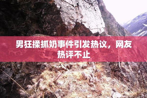 男狂揉抓奶事件引发热议，网友热评不止