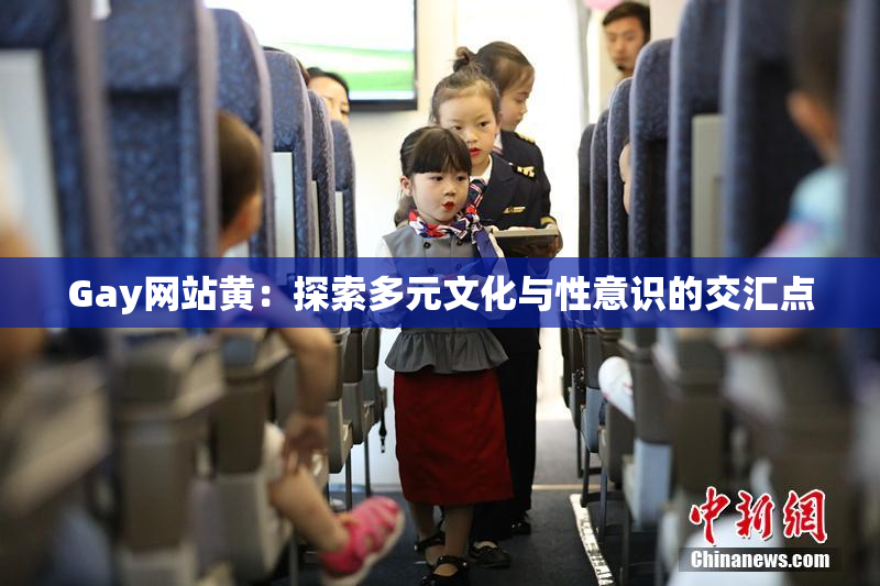 Gay网站黄：探索多元文化与性意识的交汇点