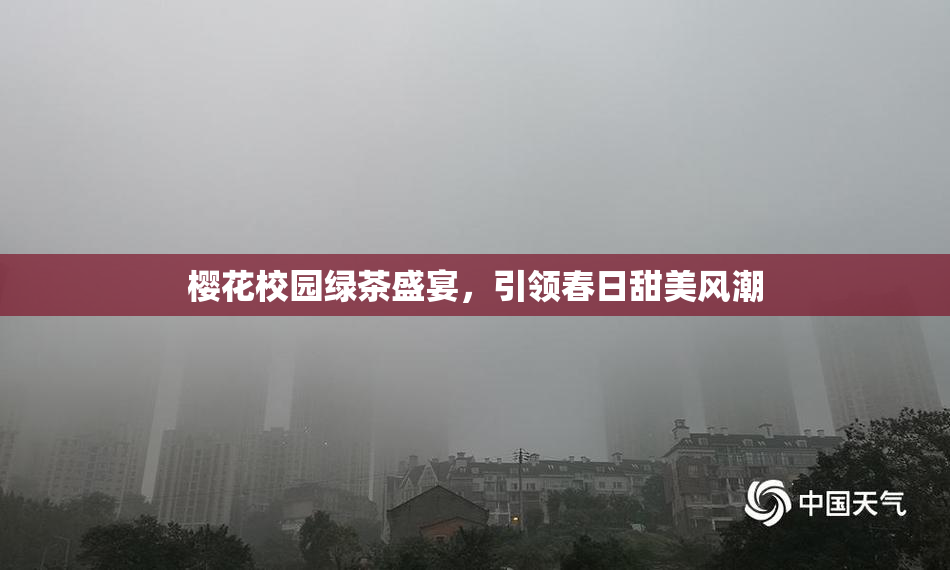 樱花校园绿茶盛宴，引领春日甜美风潮