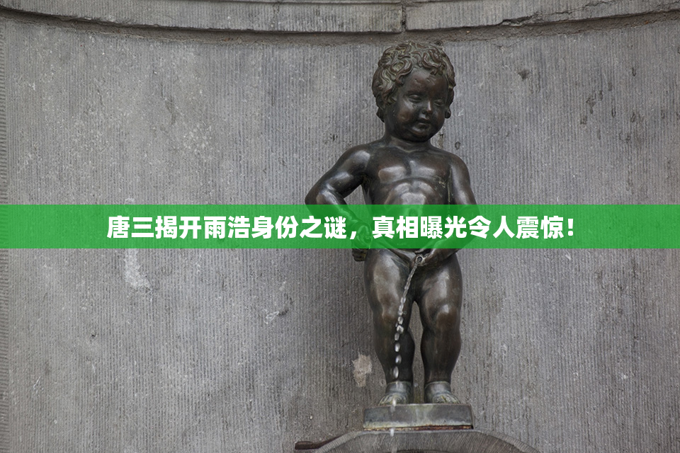唐三揭开雨浩身份之谜，真相曝光令人震惊！
