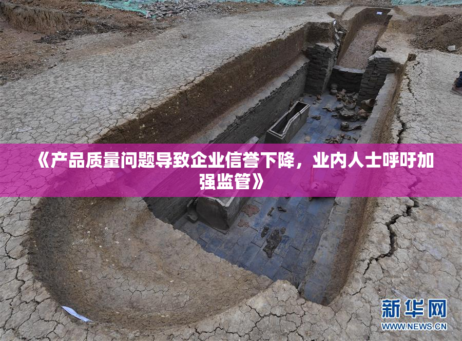 《产品质量问题导致企业信誉下降，业内人士呼吁加强监管》