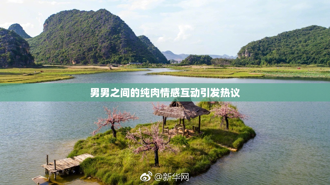 男男之间的纯肉情感互动引发热议