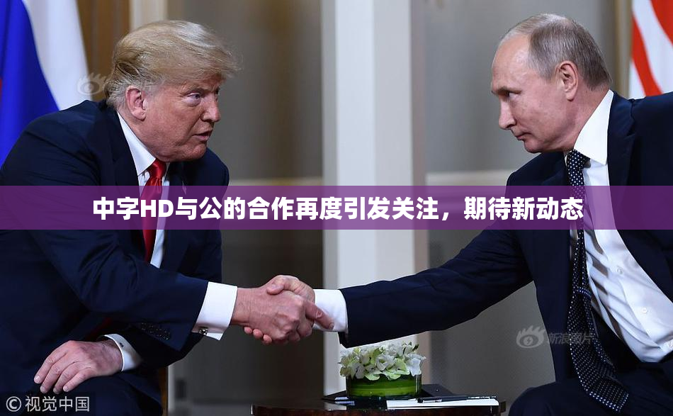 中字HD与公的合作再度引发关注，期待新动态