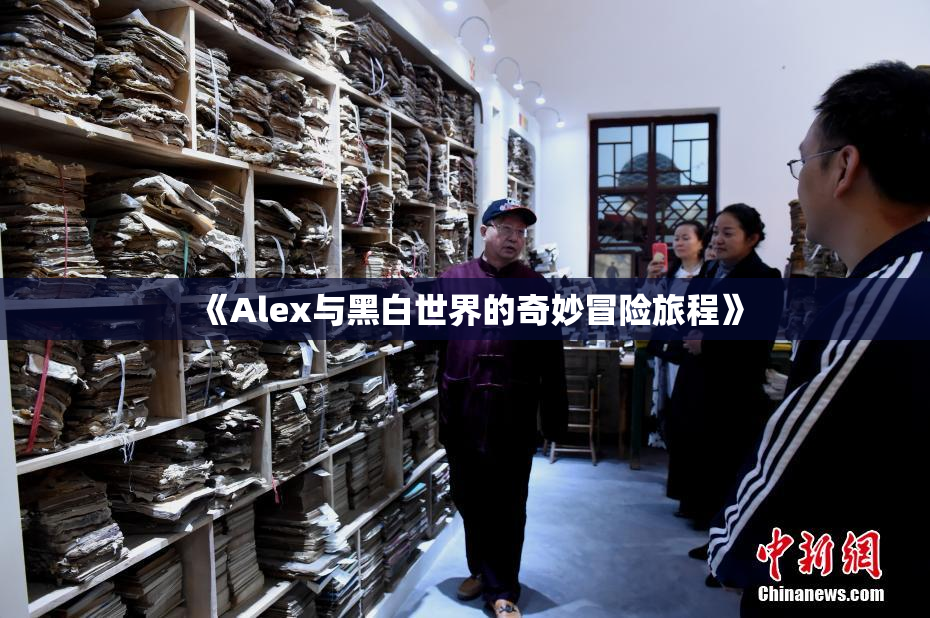 《Alex与黑白世界的奇妙冒险旅程》