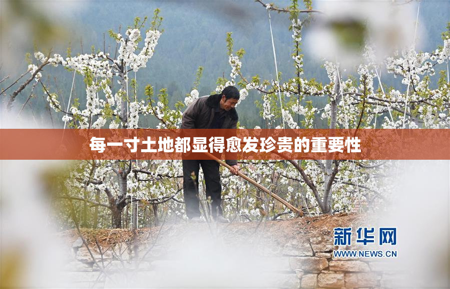 每一寸土地都显得愈发珍贵的重要性