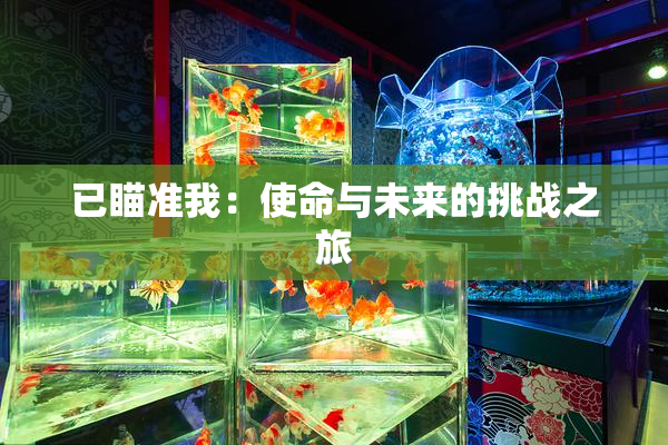 已瞄准我：使命与未来的挑战之旅