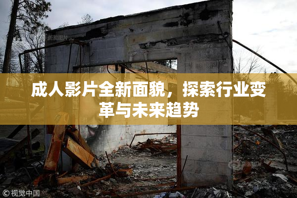 成人影片全新面貌，探索行业变革与未来趋势