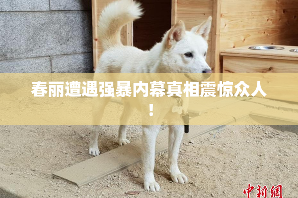 春丽遭遇强暴内幕真相震惊众人！