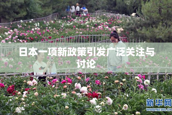 日本一项新政策引发广泛关注与讨论