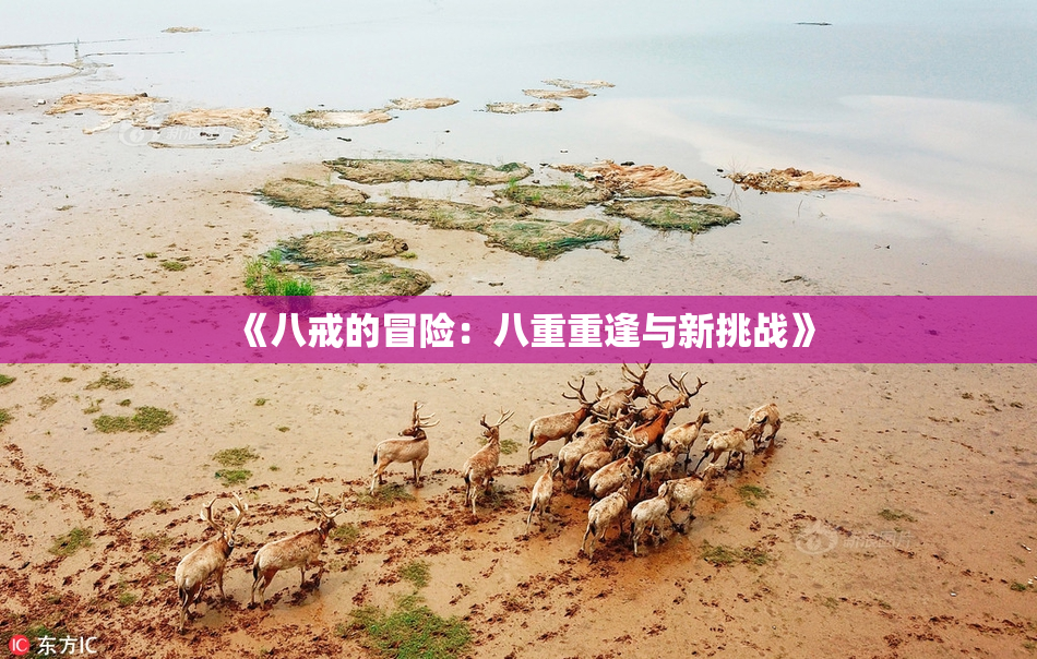 《八戒的冒险：八重重逢与新挑战》