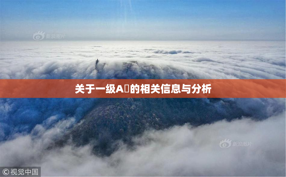 关于一级A婬的相关信息与分析