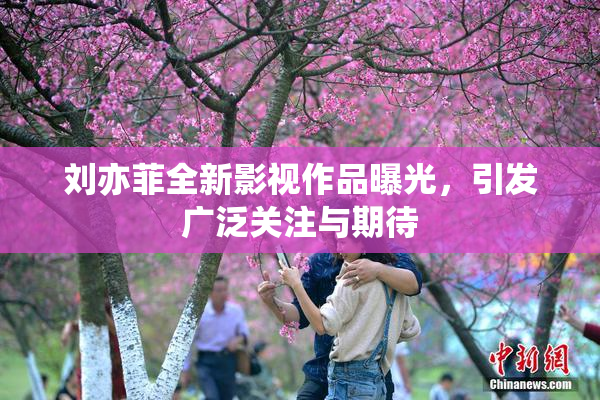 刘亦菲全新影视作品曝光，引发广泛关注与期待