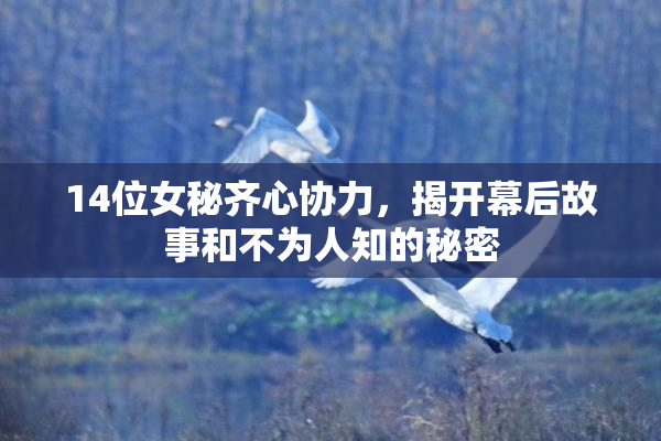 14位女秘齐心协力，揭开幕后故事和不为人知的秘密