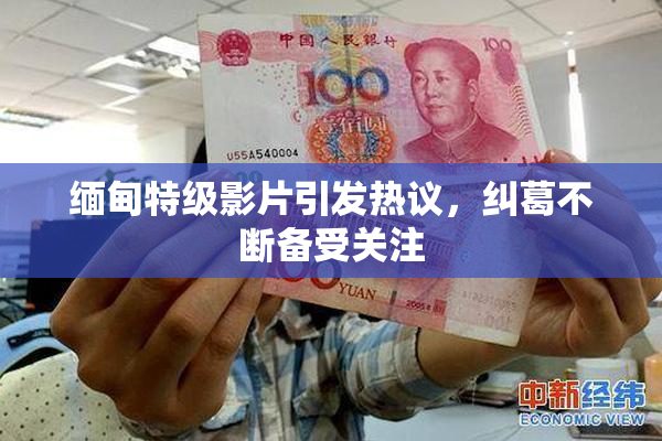 缅甸特级影片引发热议，纠葛不断备受关注