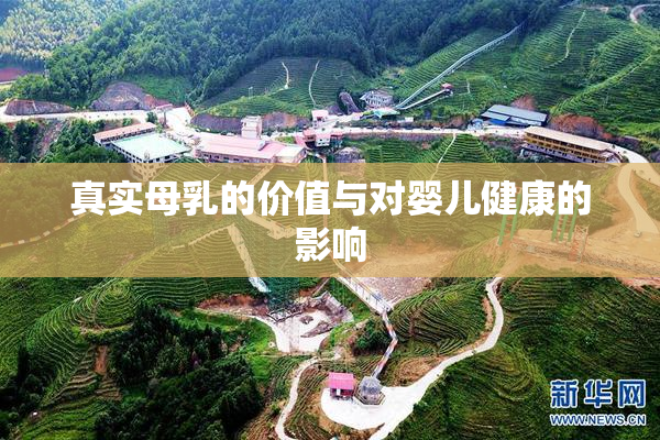 真实母乳的价值与对婴儿健康的影响