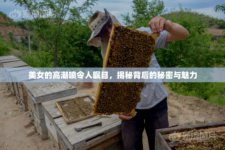 美女的高潮喷令人瞩目，揭秘背后的秘密与魅力