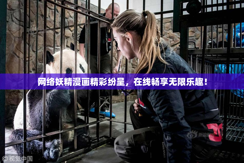 网络妖精漫画精彩纷呈，在线畅享无限乐趣！