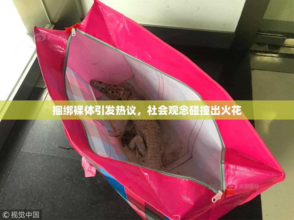 捆绑裸体引发热议，社会观念碰撞出火花