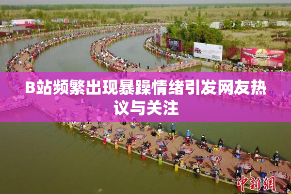 B站频繁出现暴躁情绪引发网友热议与关注