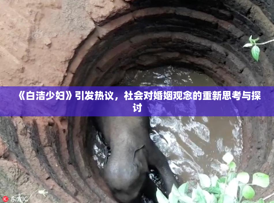 《白洁少妇》引发热议，社会对婚姻观念的重新思考与探讨