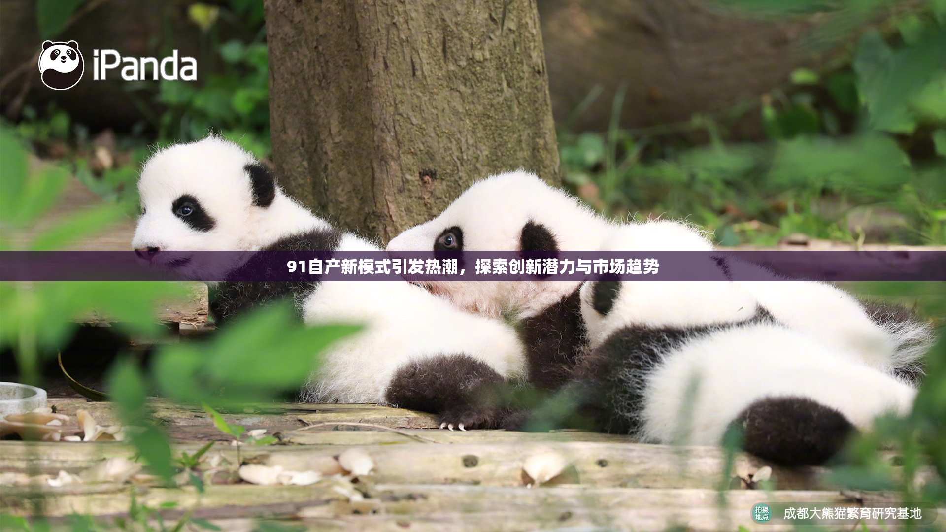 91自产新模式引发热潮，探索创新潜力与市场趋势