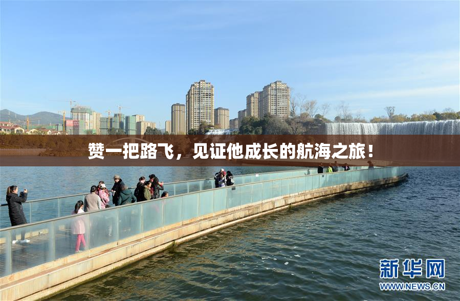 赞一把路飞，见证他成长的航海之旅！