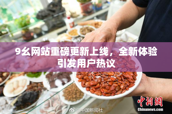9幺网站重磅更新上线，全新体验引发用户热议