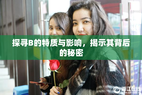 探寻B的特质与影响，揭示其背后的秘密