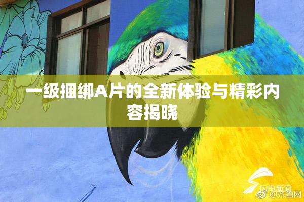 一级捆绑A片的全新体验与精彩内容揭晓
