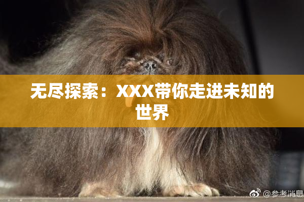 无尽探索：XXX带你走进未知的世界