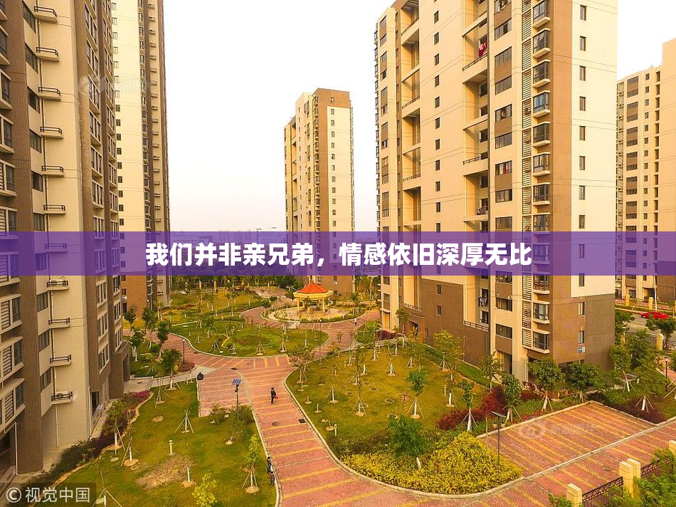 我们并非亲兄弟，情感依旧深厚无比